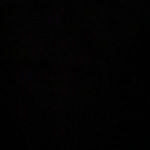 Meet your Posher, Stevie